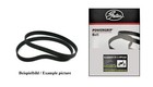 Honda Oem Gl 1500 Goldwing Sc22 Motor Service Kit Timing Belt Tensioner Tensor