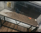  Natural Beauty -15 Lbs Aquarium Fish Tank Gravel  Tiny 1 4 In Gravel 