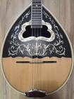 Greek Bouzouki With Softcase   Pick Up   Tuner   300 Backing Track With Scores 