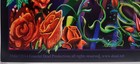 Grateful Dead 50th Anniversary Poster Mike Dubois Signed Skull 13x18 5 Gd50