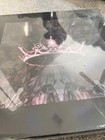 Blackpink 1st Vinyl Lp The Album Limited Edition Box Set Sealed
