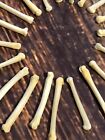 20 Real Coyote Paw Bone Mountain Man Craft Skull Jewelry Earring Gothic Claws
