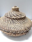 Impressive Xlarge Vintage Alabama - Coushatta Lidded Indian Basket  Museum Grade