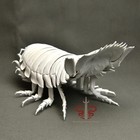 Museum-quality Real Bathynomus Giganteus Specimen  Rare Taxidermy  23cm Or 9 