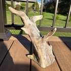 Intricate Natural Driftwood 11x10 Organic Wood Terrarium Aquascaping Decor