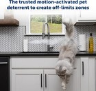 Odorless Motion Sensor Spray For Cats - Motion Activated Pet Deterrent