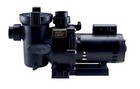 Jandy Pool Pump 1 Hp Flopro Series Fhpm1 0 Single Speed 1 14 Thp