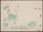 S8  Antique Japanese Shibata Zeshin Flower Hanakurabe Hosta Woodblock Print
