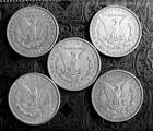 Lot Of 5 1878-1893 Morgan Silver Dollars Coins U s  Au bu     Beautiful Coins