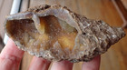 Botryoidal Fossil Coral Geode Fragment Ga Druzy Crystal Specimen Curio Ocean Wc8