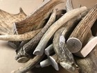 2 Pounds Premium Grade A Elk deer Whole Antler Dog Chews Treats - Xl And Jumbo