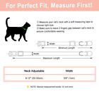 Personalized Leather Cat Collar Breakaway Pet Kitten Puppy Engraved Name Plate