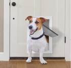 Large Dog Pet Door Replacement Flap Compatible With Petsafe 16 7 8    X 10 1 8   