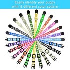  12pcs Puppy Collars  Soft Nylon Whelping Collars  Reflective Medium
