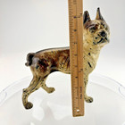 Antique Cast Iron Boston Terrier Doorstop 10  6lb Original Paint Hubley Style