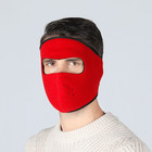 Full Balaclava Face Mask Men Women Winter Fleece Warm Ski Mask For Cold Weather
