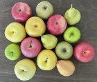 Artificial Fake Fruit Mix Realistic Lifelike Lot Plastic Decor Apples Pears