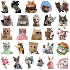 103pcs Funny Holographic Vinyl Cat Meme Stickers  Waterproof Cute Multicolor 
