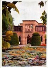 Vintage Card Continental Stuttgart Bad Cannstatt Tropical Plant Garden Animal