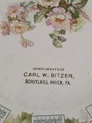 Vintage 1913 Schuylkill Haven Pa Advertising Carl Bitzer Store Calendar Plate