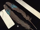Peacock Pheasant Double Eye Tail Feathers  118