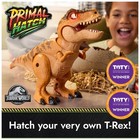 Jurassic World Interactive Dinosaur   Egg  Hatch   Train Your Own Baby Dino W   