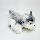Ganz Webkinz Husky White Grey Dog Hm120 Plush Stuffed Animal No Code