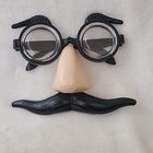 Funny Costume Novelty Glasses Nose Mustache Eyebrows Groucho Marx Greenbrier