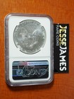 2019 W Burnished Silver Eagle Ngc Ms70 Classic Brown Label