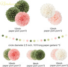 Wedding Party Decorations Set  15 Pcs Pink Sage Green Tissue Paper Pom Poms Dots