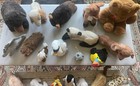 Lot Of 32 Dakin Stuffed Animals - Vintage - Various Years Sizes - San Francisco
