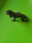 Htf Schleich Bearded Dragon Pogona Lizard 2011 Retired Figure Animal Figurine 