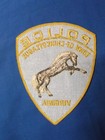 5  Town Of Chincoteague Virginia Va Police Patch