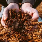 Premium Gold Wood Mulch   Decorative Garden  Potting  Lawn   Landscape Cover