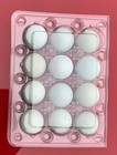 12 Hollow Blue Quail Eggs - Hand Blown Eggshells   free Shipping  