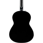 Fender Cn60s Nylon Acoustic Guitar Black