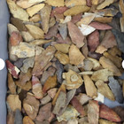 250 Ancient Indian Arrowheads  field Grade A    Random Select Grabbag