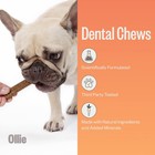 Dental Chews For Large Dogs  4 Pack  Fresh Breath  Teeth Cleaning Treats  Sti   