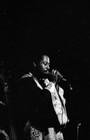 Strip Of  4  1971 Lady Walquer Live Original 35mm Photo Negatives Bn