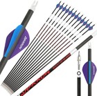 Carbon Arrows 31inch Sp300 400 500 12x Id6 2 Bow Hunting Archery Practice Target