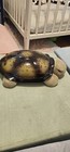 Cloud B Classic Twilight Turtle Night Light Colorful Stars Plush Constellation