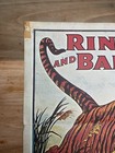 Vintage Rare 1930s Ringling Bros Circus Tiger - Has Wear Poster 24x17