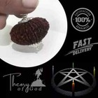 21 Mukhi Rudraksha Nepal Very Rare   Bead  lab Certified A   