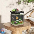 Eraark 1 5 Gallon Betta Fish Tank Aquarium Kit With Filter Led Light  Water P