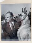 Vintage 1950   s Photograph Of Great Dane With Handler 