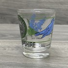 New Hampshire State Shot Glass Whiskey Shot Glass Souvenir