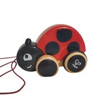 Hape Wooden Pull Toy Lot Ladybug   Frog Pull Along Germany Toddler Play