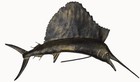 Metal Sailfish Trophy Marlin Head Carving Sport Ocean Fishing Collection Wall Cl