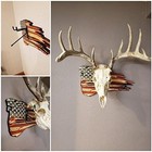 European Mount Skull Hanger Usa Flag Wood Plaque Deer Antler Display Rack Decor