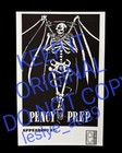 Vintage 2001 Pencey Prep Tour Poster   Frank Iero   My Chemical Romance   Mcr